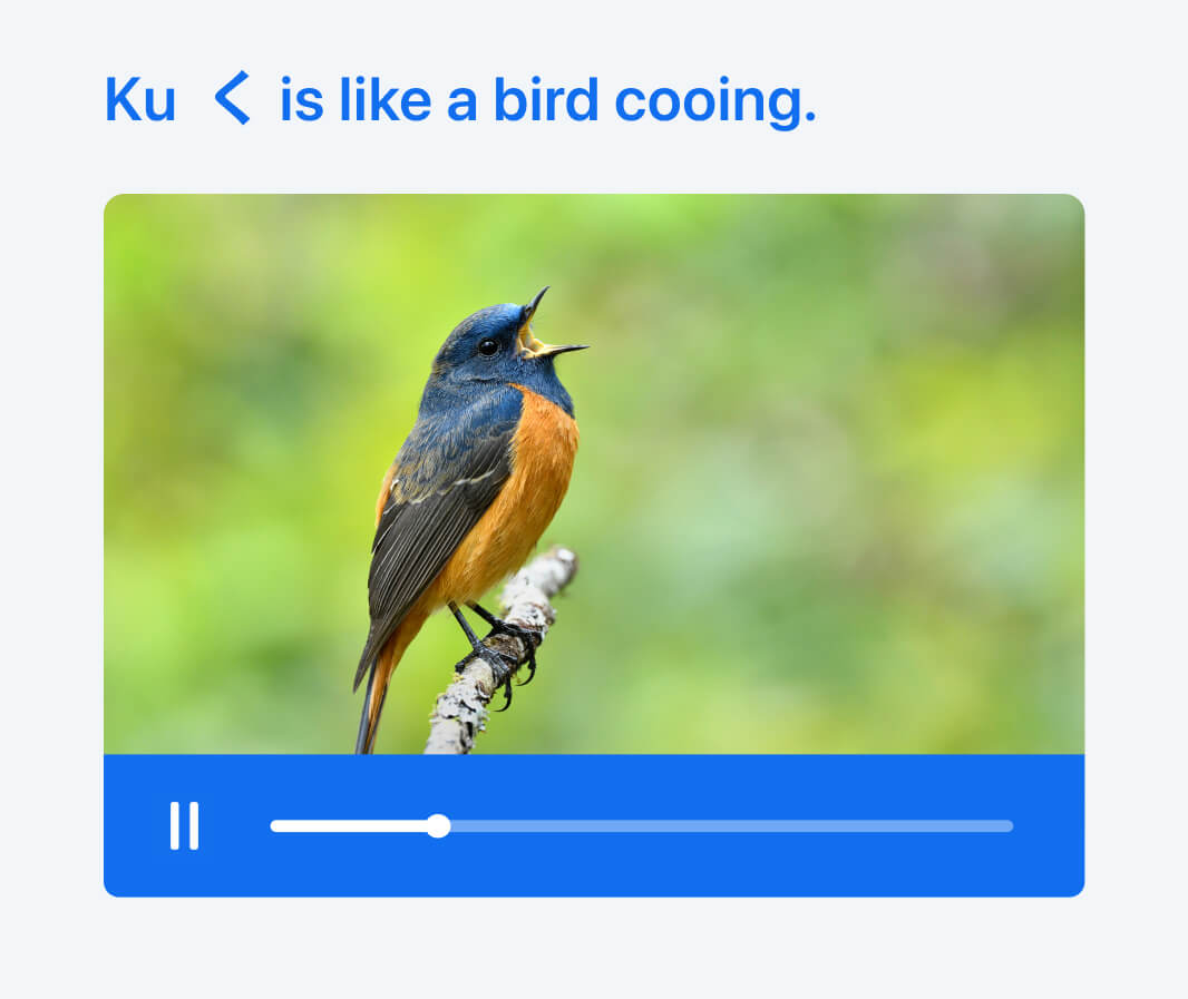 On Busuu, we help learners remember 'ku' < in hiragana with a cooing bird
